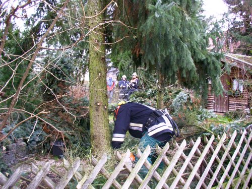 Unwetter hielt Feuerwehren in Atem – Wasserschäden und Baumbeseitigungen