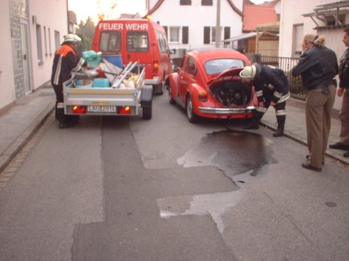 Mehrere Liter Kraftstoff aus Pkw ausgelaufen