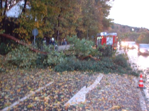 Orkan fegte – Feuerwehren waren gefordert um Sturmschäden zu beseitigen