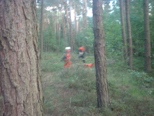 Vermisstensuche im Waldgebiet bei Röthenbach