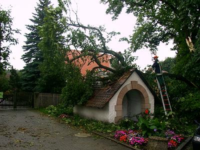 Zahlreiche Unwetterschäden nach heftigen Orkanböen