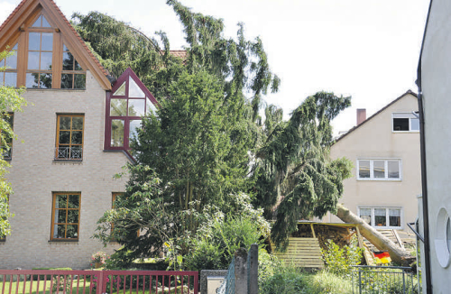 Sturmtief Bertha traf auch Rückersdorf