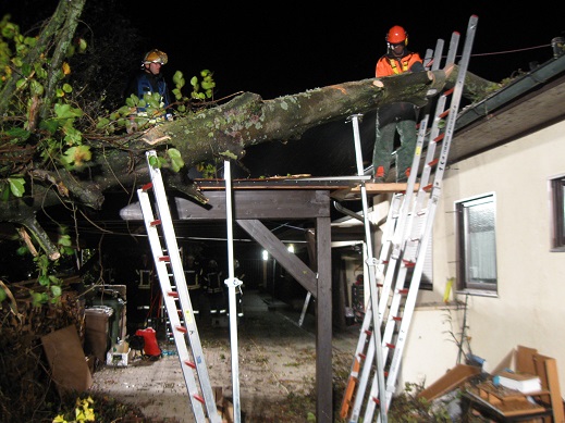 Rüstzug im Einsatz: Sturmtief \“Gonzalo\“ wirft Baum auf Wohnhaus