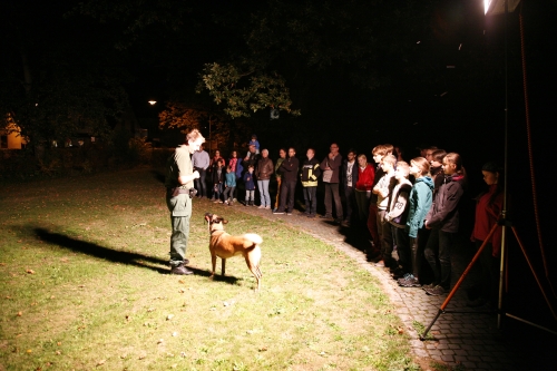 Polizeihund zu Gast – Einblicke in die Arbeit einer Hundestaffel