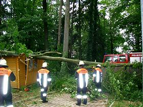 Baum auf Gebäude