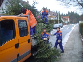 Jugendfeuerwehr sammelte Christbäume