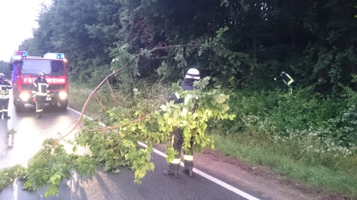 Kleiner Baum droht auf B14 zu stürzen