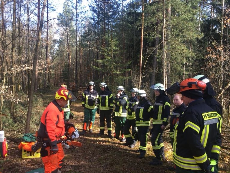 Fortbildung an der Kettensäge